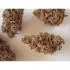 Amnesia Haze Automatic - autoflowering semena od Royal Queen Seeds