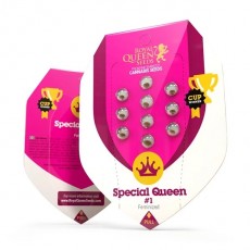 Special Queen n. 1 - feminizovaná semínka 10 ks Royal Queen Seeds