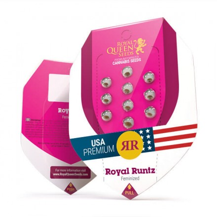 Royal Runtz - feminizovaná semínka 3 ks Royal Queen Seeds