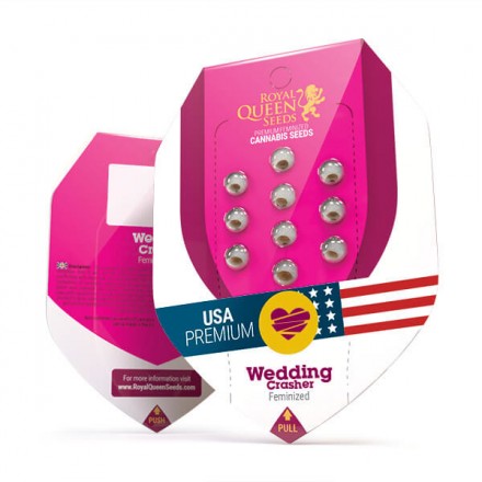 Wedding Crasher - feminizovaná semínka 3 ks Royal Queen Seeds 