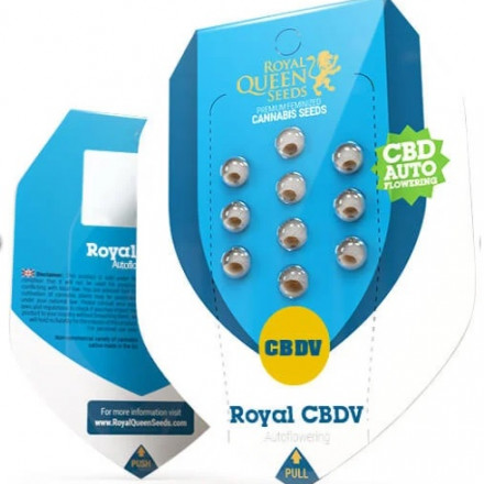 Royal CBDV Automatic - samokvitnúce semienka 5 ks Royal Queen Seeds