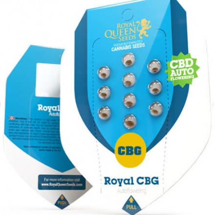 Royal CBG Automatic - samokvitnúce semienka 3 ks Royal Queen Seeds