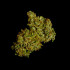 Cosmos F1 - samonakvétací CBD semena marihuany 3ks, Royal Queen Seeds