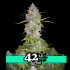 Orange Sherbet Auto - samonakvétací semena marihuany 3 ks Fast Buds