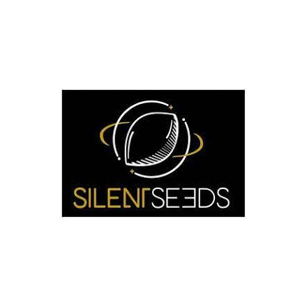 Original Amnesia - feminizovaná semena 3 ks, Silent Seeds