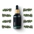 Myrta - 100% prírodný esenciálny olej (10ml) - Pestík
