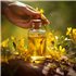 Třezalka - 100% přírodní esenciální olej (10ml) - Pěstík