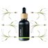 Calamus - 100% prírodný esenciálny olej (10ml) - Pestík