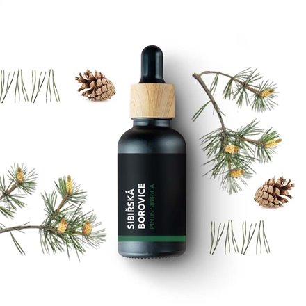 Levně Sibiřská borovice - 100% přírodní esenciální olej (10ml) - Pěstík