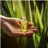 Citrónová tráva - 100% prírodný esenciálny olej (10ml) - Pestík