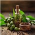 Zelený pepř - 100% přírodní esenciální olej (10ml) - Pěstík