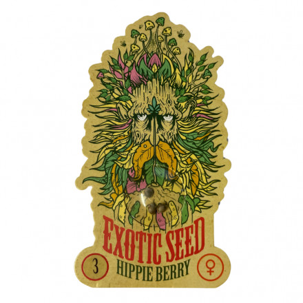 HippieBerry - feminizovaná semena marihuany, 3ks Exotic Seed