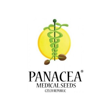 Dynamite Haze - standardizovaná semínka 10ks Panacea