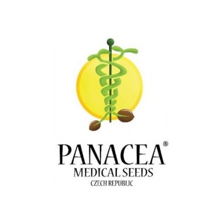 Dynamite Haze - standardizovaná semínka 5ks Panacea