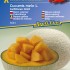 Meloun Carib. Gold - semena melounu