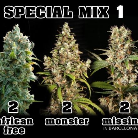 Mix 1 – Af,Mo,Mi – 6ks feminizovaných semen Eva Seeds