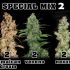 Mix 2 – Ve,Jd,Ne – 6ks feminizovaných semen Eva Seeds