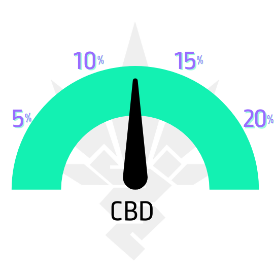 CBD Mazar feminized seeds - CBD indicator