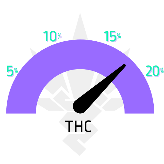 Purple punch auto - samonakvétací semena - ukazatel THC