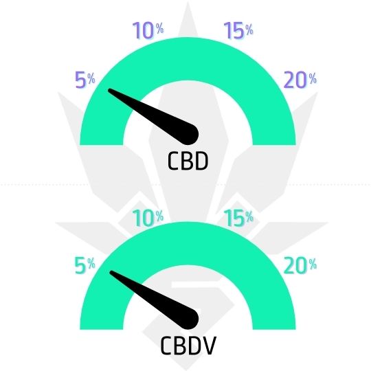 Royal CBDV automatic - samonaktvétacie semená - ukazovateľ CBD a CBDV