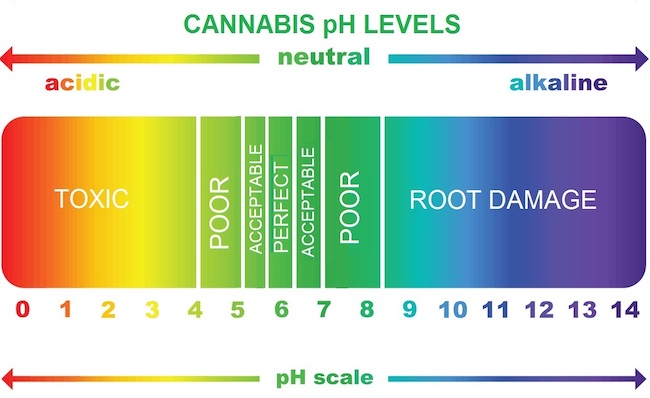 Stupne pH hodnoty