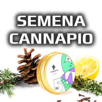 Semena marihuany Cannapio
