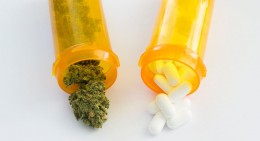 Studie - Teenageři používají opiáty často v kombinaci s marihuanou 