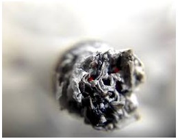 Rozdíly mezi efektem kouření marihuany na mozek (S nikotinem a bez) 