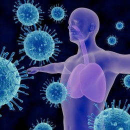 CBD a imunitný systém: Rovnováha a posilnenie?