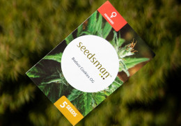 NOVINKA: Seedbanka Seedsman v naší nabídce