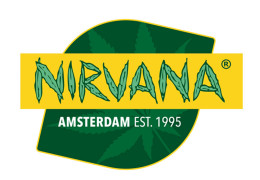 Nirvana seeds: Čerstvá novinka semien marihuany u nás!