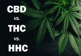 CBD vs. THC vs. HHC 