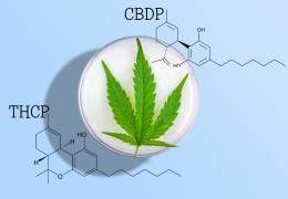 THCP a CBDP: Nově objevené kanabinoidy