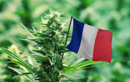 Francie ohlásila začátkem roku 2022 vstup do průmyslu s léčebným konopím