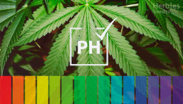 Důležitost pH při pěstování konopí