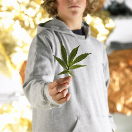 Vplyv legalizácie cannabisu na mladistvých: Najnovšia štúdia 